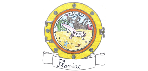 Adopt a float - 1902594__FlotPiac__2026 | ADOPT416B