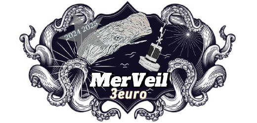 Adopt a float - 5906524__Simone-MerVeille-Euro__2025 | ADOPT344A