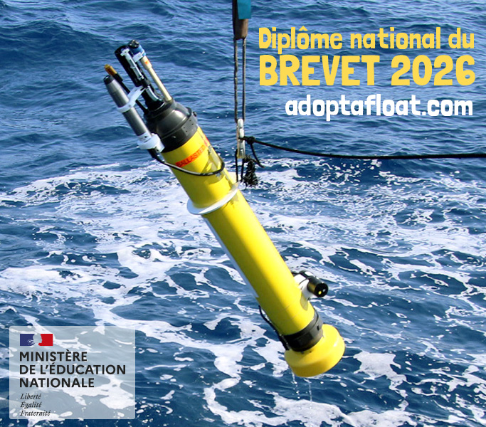adopt a float - dans le sujet de Physique-Chimie au Diplôme National du Brevet 2026